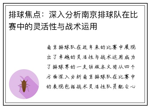 排球焦点：深入分析南京排球队在比赛中的灵活性与战术运用