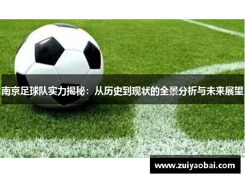 南京足球队实力揭秘：从历史到现状的全景分析与未来展望