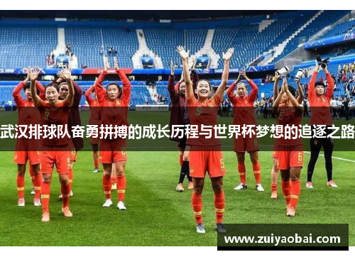 武汉排球队奋勇拼搏的成长历程与世界杯梦想的追逐之路