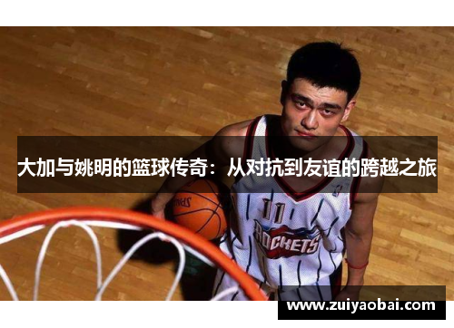 大加与姚明的篮球传奇：从对抗到友谊的跨越之旅